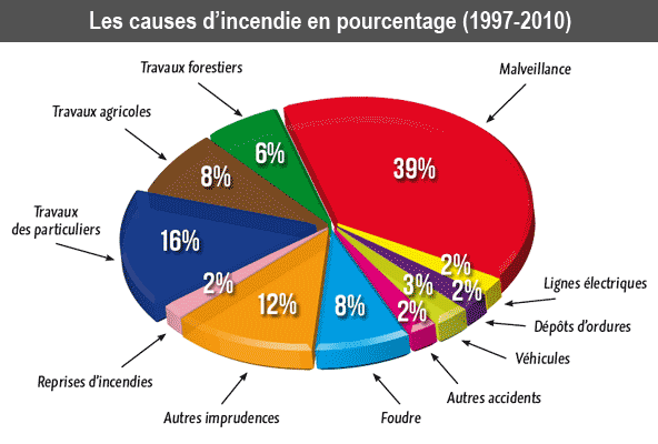 Causes des feux de forêt en pourcentage (1997 - 2010)