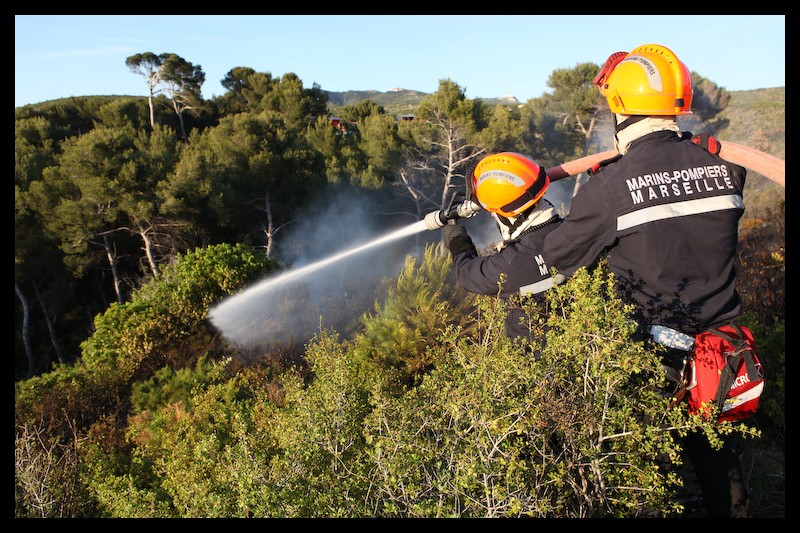 Feu de végétation - savine - marseille - M. Baudis BMPM