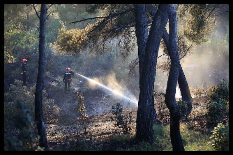 Feu de végétation - savine - marseille - M. Baudis BMPM