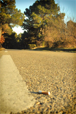 Mégot de cigarette sur la route