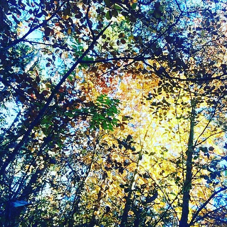 Crédit : instagram @manon_bttr
