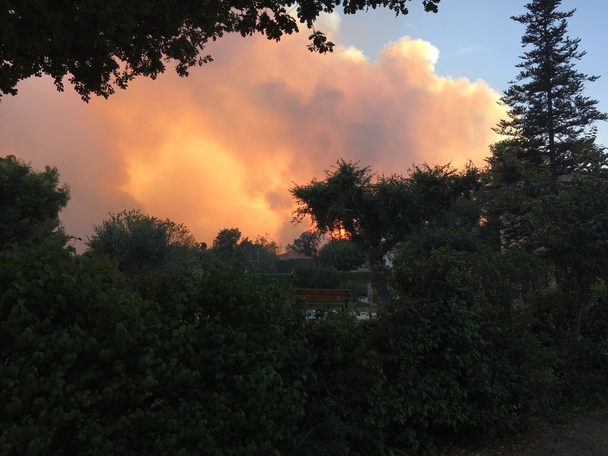 Incendie de Saint-Cannat (15/07/2017). Photo: Maritima