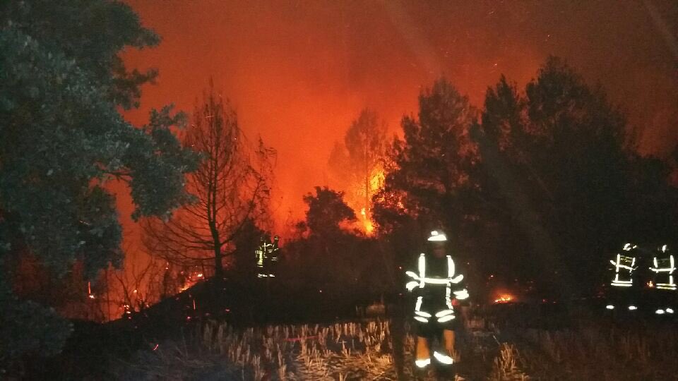 Incendie de Saint-Cannat (15/07/2017). Photo: SDMIS 69