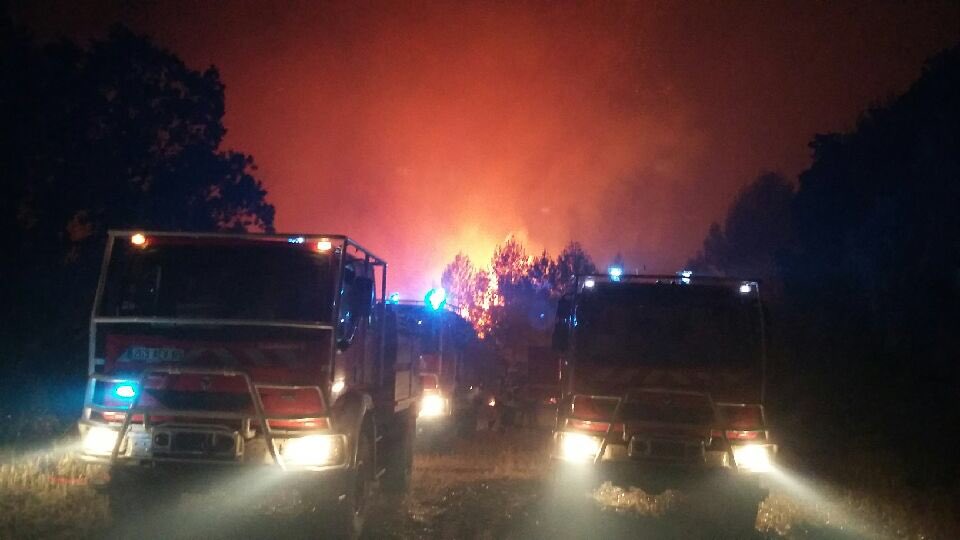 Incendie de Saint-Cannat (15/07/2017). Photo: SDMIS 69